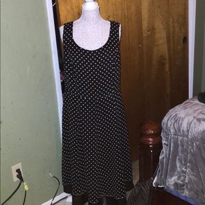 Studio 1 polka dot dress